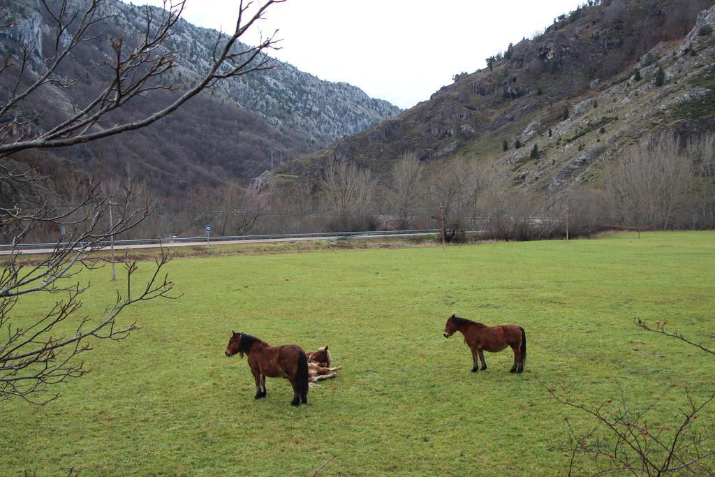 Hotel Moto-Rural "Vegalion" Las Salas Buitenkant foto
